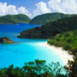 Meet your Posher, Rose